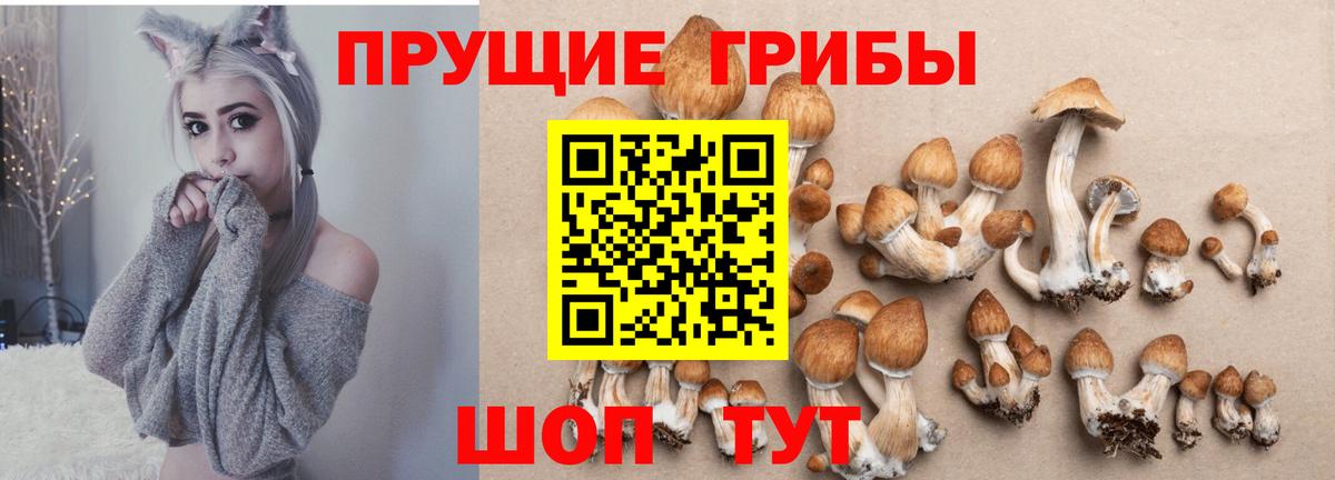 Магадан  Галлюциногенные грибы мухоморы  Вход с VPN 
